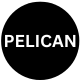 Pelican